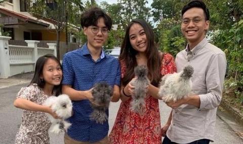 舌尖上的乌鸡，居然成了国外网红萌宠！小乌鸡太可爱了 This Fluffy Chicken Is a New Pet Obsession
