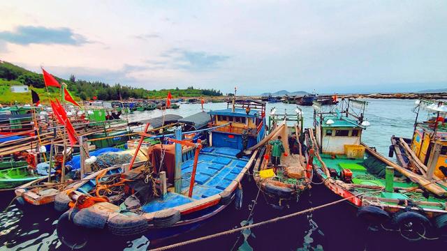 海南岛12个沿海市县中，主要港口码头都有哪些？一次给你介绍完