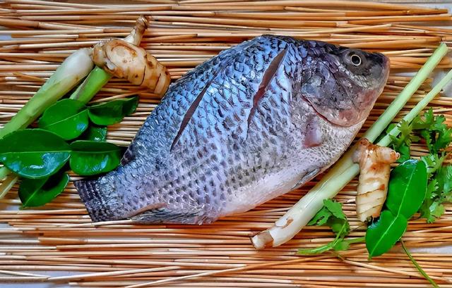 FAO发布“生鱼片警告”：「B组链球菌」了解一下？