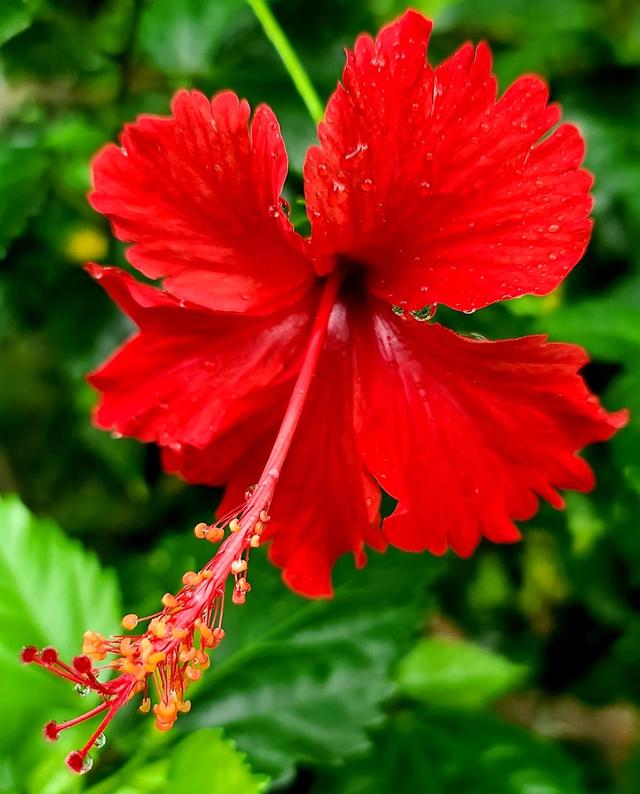 三星S20ultra在新加坡随手拍