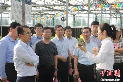 安徽发挥侨界资源优势 搭建侨地对接新舞台