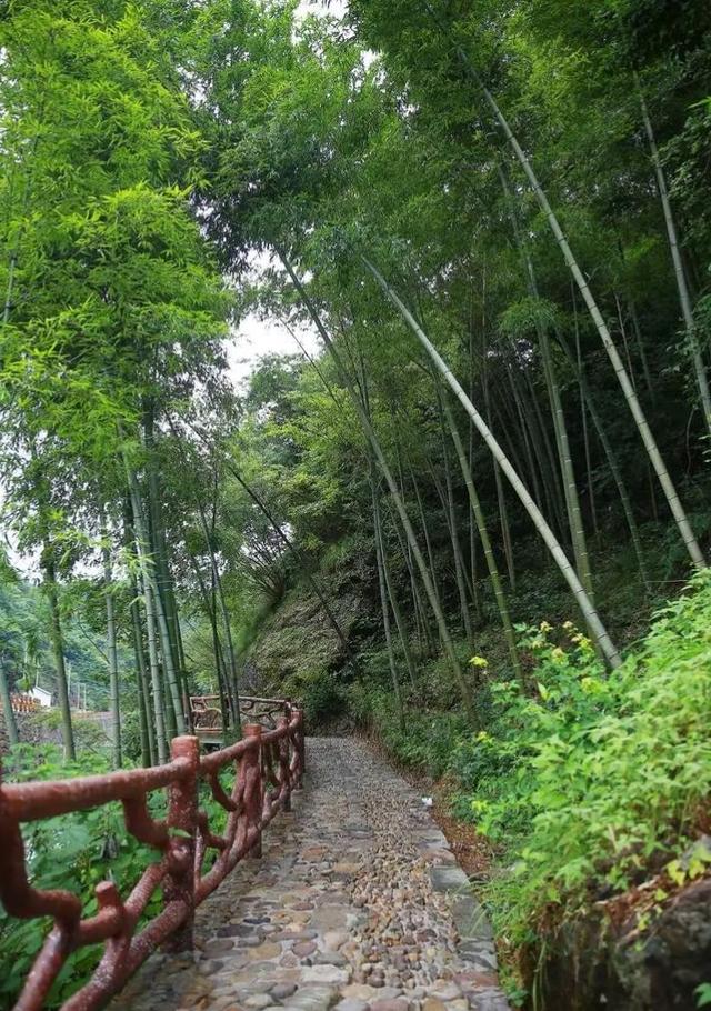 “百千桑梓地，亿万老家人”浙江省—金华市—东阳市（二）