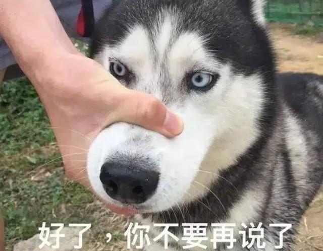 东京奥运会0比10爆冲小日本