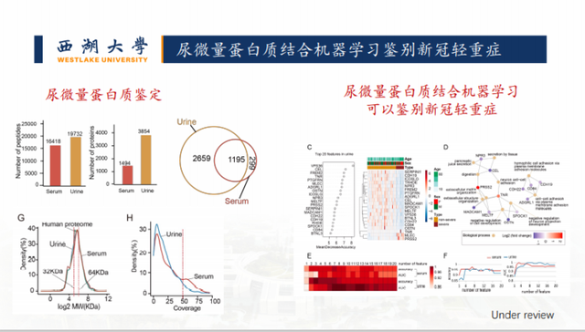 新药开发、疾病判别...我们还是低估了「AI+蛋白质组学」的威力