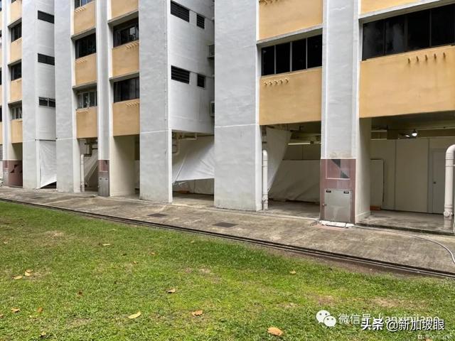 若去过新加坡这座巴刹，请赶快去接受免费检测