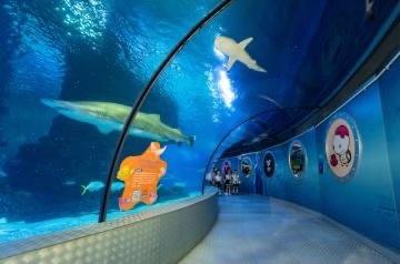 “环游四海”探寻海洋知识
