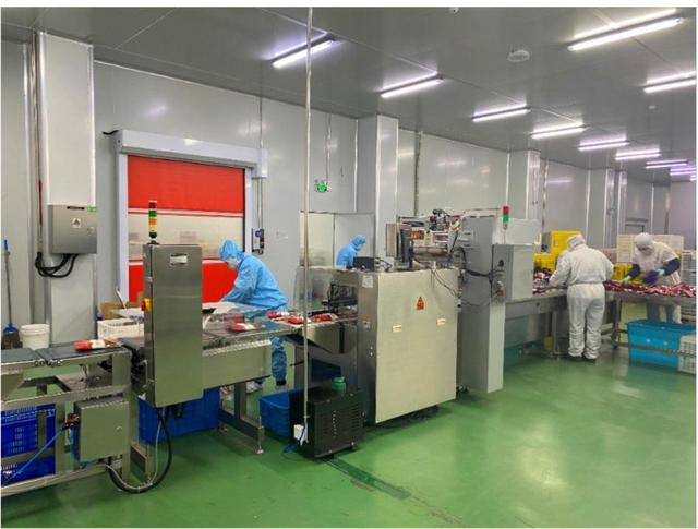 跨国公司与青岛：167家“世界500强”在青投资项目354个，首届峰会签约项目加速落地