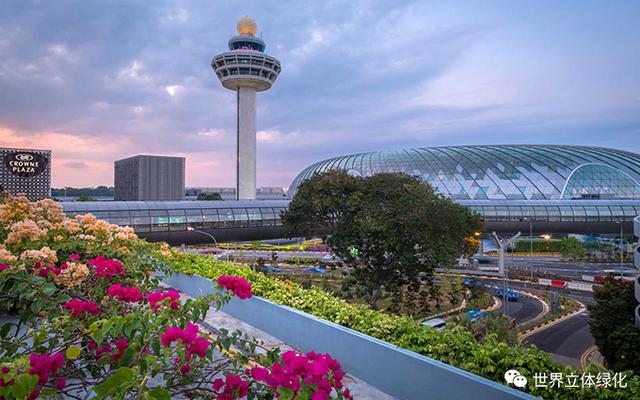 打造生态化公共空间，助力人文机场建设