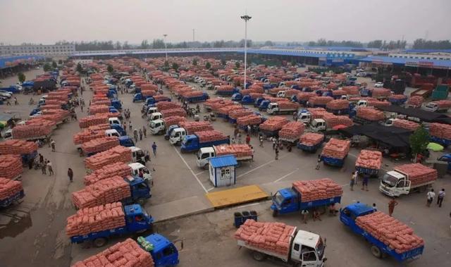 从“小蒜头”到“大龙头”“一头蒜”带动民生巨变