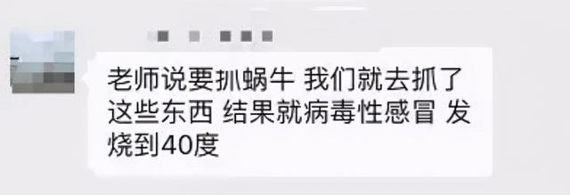 提醒！大雨过后遍地爬的这种大蜗牛千万别碰，有人摸了后发烧到40度！