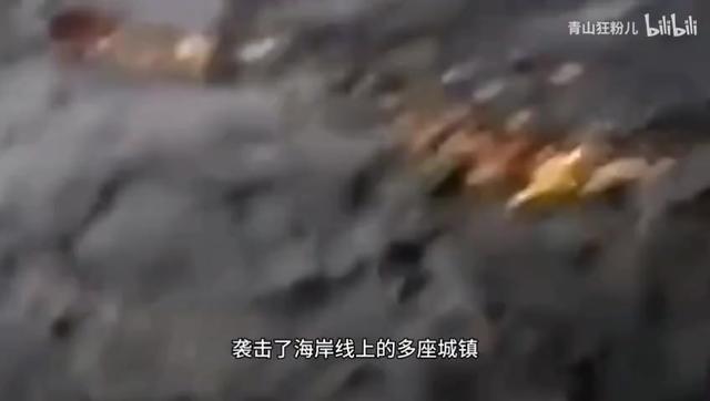 世界之最之海啸篇