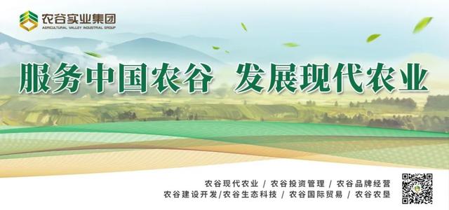 早安荆门〔2021.7.15〕丨王祺扬到荆门传媒中心调研/我市将对12至17岁人群开展新冠疫苗接种