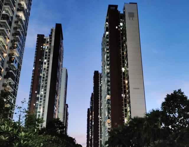 深圳故事：寂寞梧桐