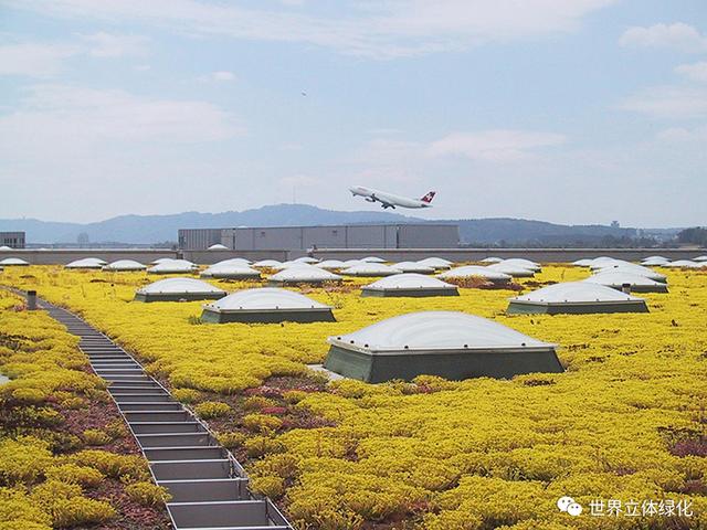 打造生态化公共空间，助力人文机场建设