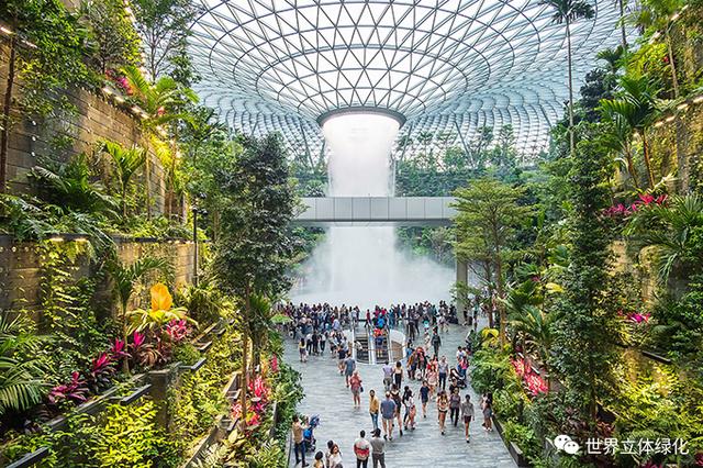 打造生态化公共空间，助力人文机场建设