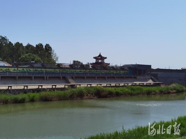 大运河今朝看变迁④一船明月过沧州 水光潋滟生态美