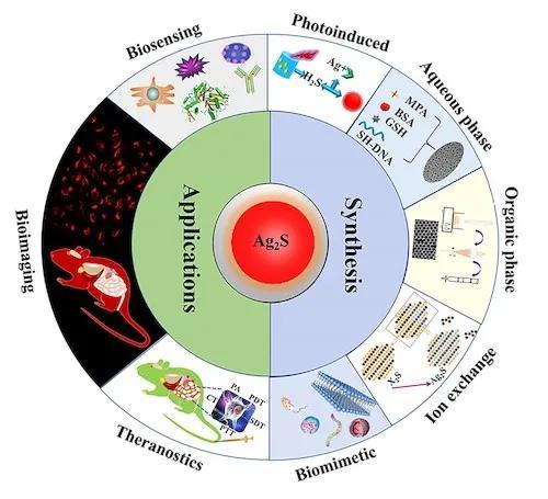 「AM」杭师大「综述」近红外硫化银量子点的合成及其在生物应用