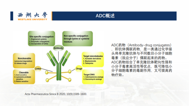 新药开发、疾病判别...我们还是低估了「AI+蛋白质组学」的威力