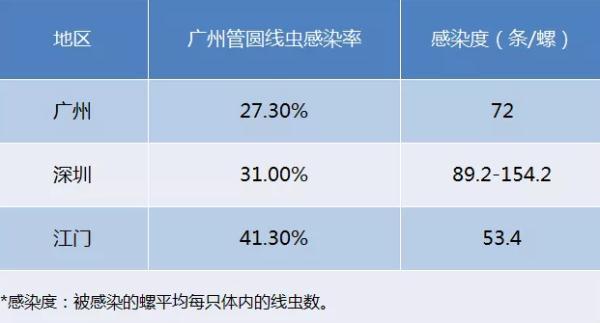 注意！广东雨后出现的这种大蜗牛，千万别碰