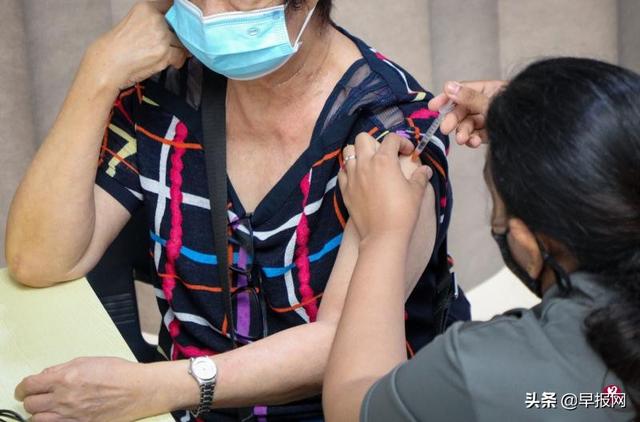 哪些因素让新加坡老年人仍观望抗拒疫苗？