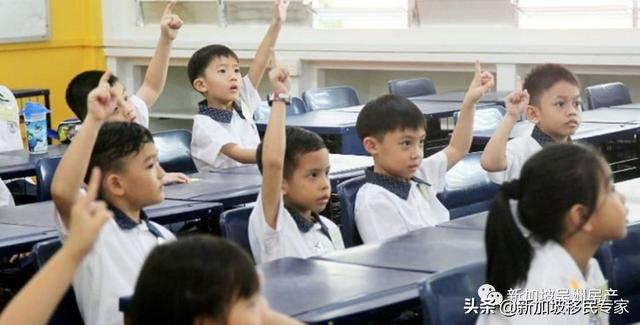 「免试入学」2022年新加坡幼升小全攻略，家长看过来