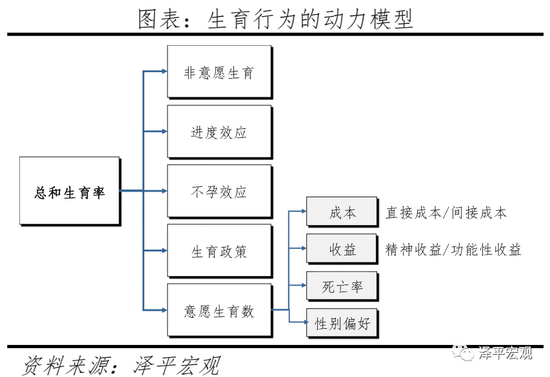 任泽平建议：生三孩应该减税甚至发钱，因为生孩子是有成本的