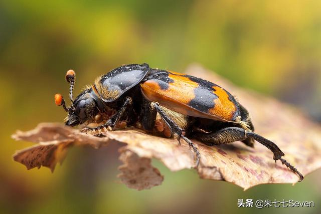 看！这个世界很大、很精彩