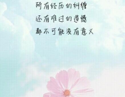 凤凰涅槃（下）：经历一场婚姻重创，独身七年我终于迎来今生挚爱