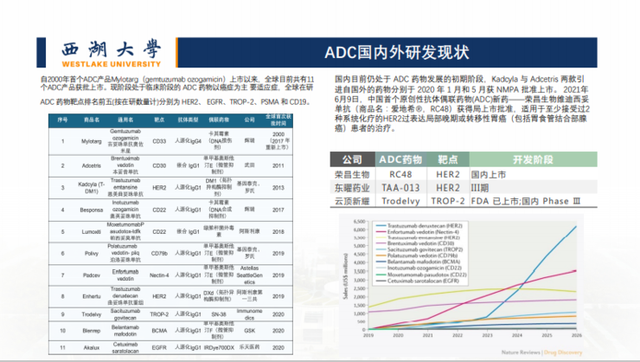 新药开发、疾病判别...我们还是低估了「AI+蛋白质组学」的威力