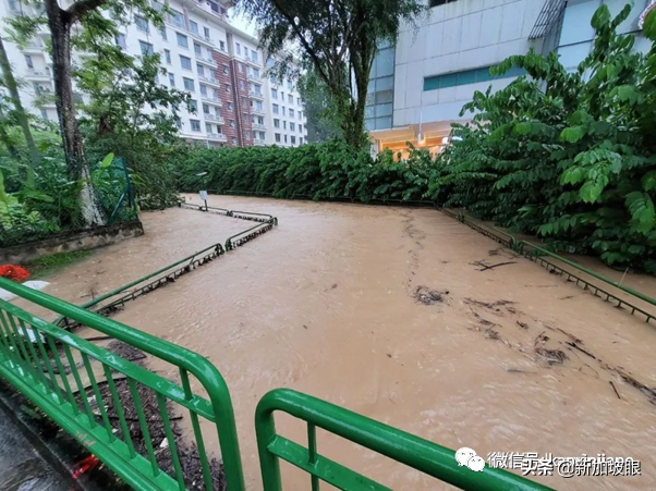 郑州暴雨已致12人死亡，出动解放军救援；新加坡抗涝这样做