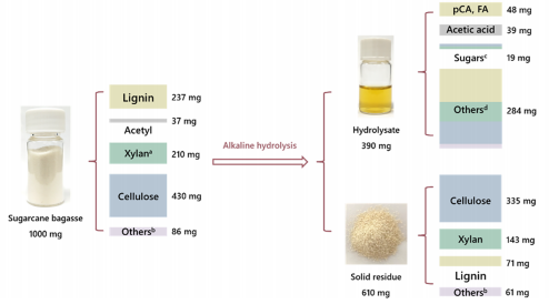 ACS Sustain. Chem. Eng.｜甘蔗渣生产L-酪氨酸的集成工艺