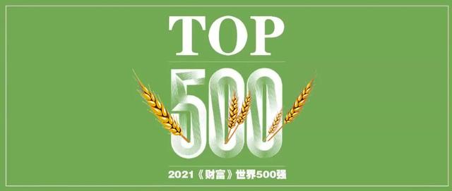 世界500强放榜，国际粮商排位齐升，中粮领先地位进一步加强