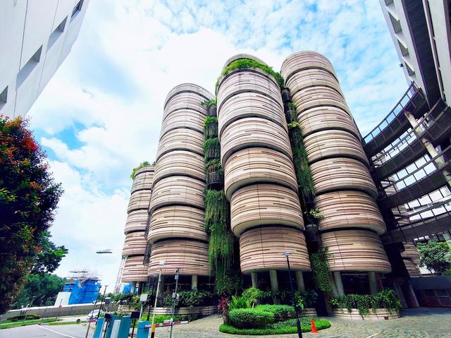 NTU 再现确诊，新加坡8月已有10起死亡病例