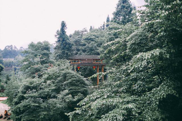 成都周边避暑胜地，夏季平均气温28度，山间云雾缭绕非常漂亮