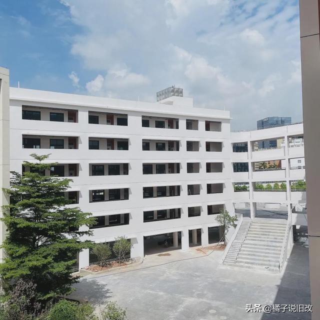 龙岗发出“大礼包”！新增12所幼儿园，新建扩建14所学校