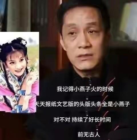 “小燕子”膨胀的野心，作品被多平台下架，并非封杀那么简单