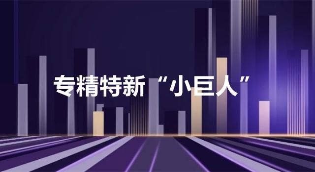 紧抓高端制造新风口，专精特新“小巨人”今年来涨幅居前名单曝光