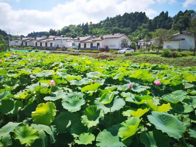 成都第一大县级市，面积约占成都的1/6，海底捞好吃羊肉汤好喝