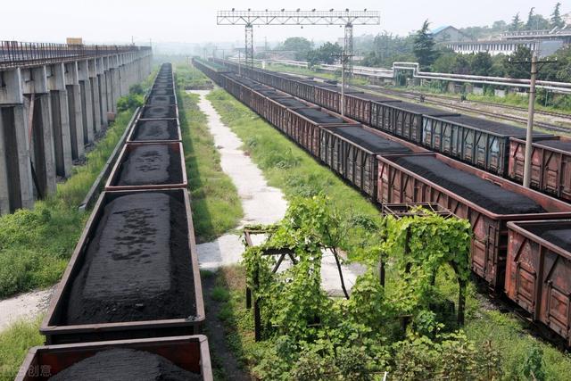 价差继续收窄 印尼动力煤市场仍冷清