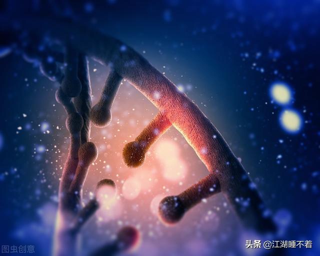 最神秘的生命工程“克隆术”