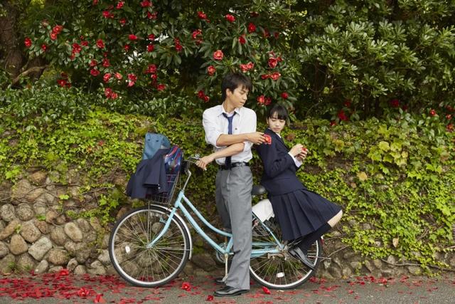 那些电影里的短暂夏日