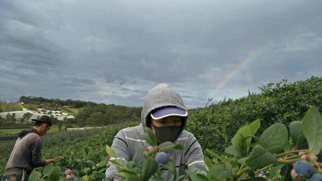 海外疫情形势严峻，出国劳务如何选择