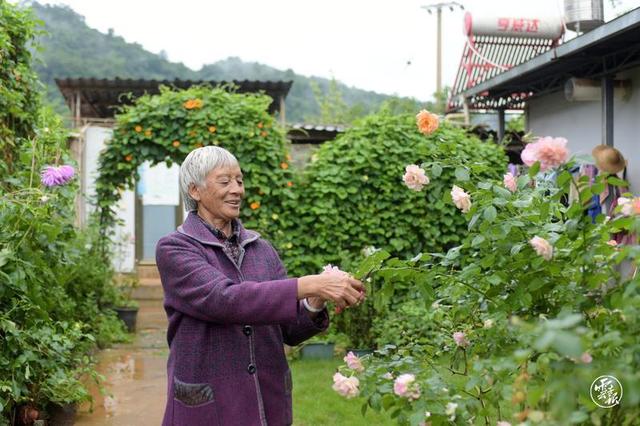 镇康：罗大妈家的“生物多样性”
