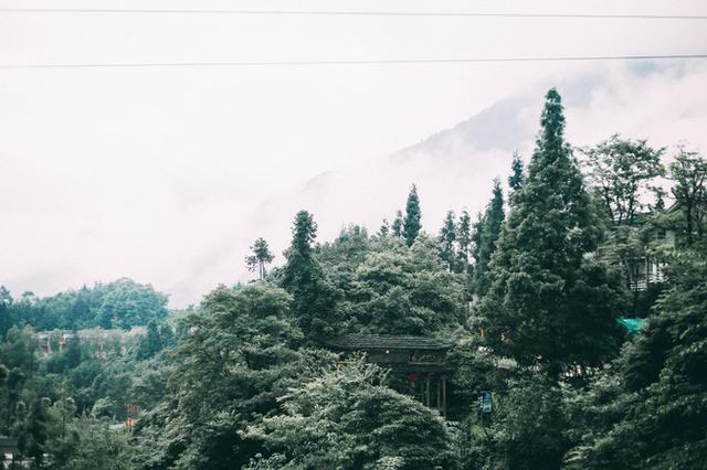 成都周边避暑胜地，夏季平均气温28度，山间云雾缭绕非常漂亮