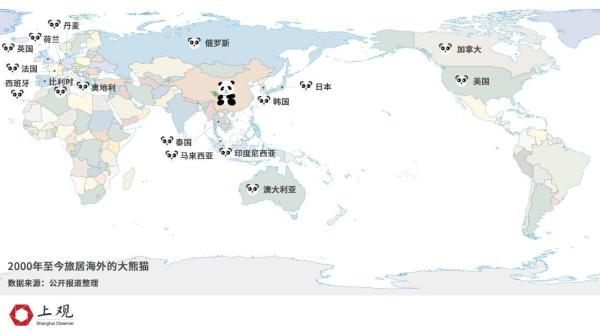 大熊猫新加坡产子惊动李显龙！你知道全球共有多少只“滚滚”吗？