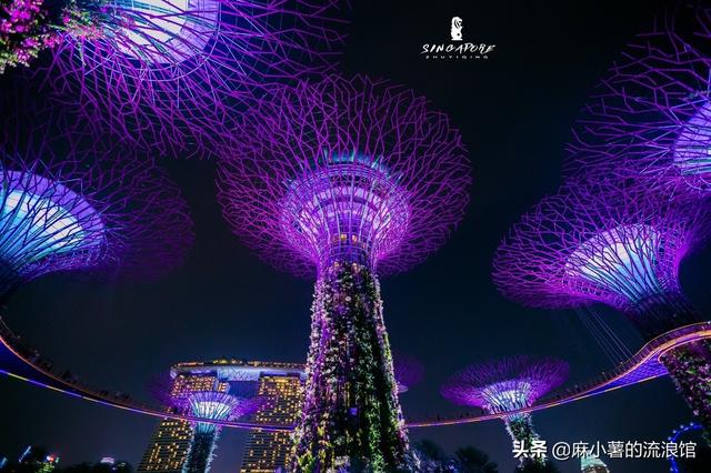 新加坡最美夜景秀，在造价10亿的超级花园中听百老汇，却免费开放