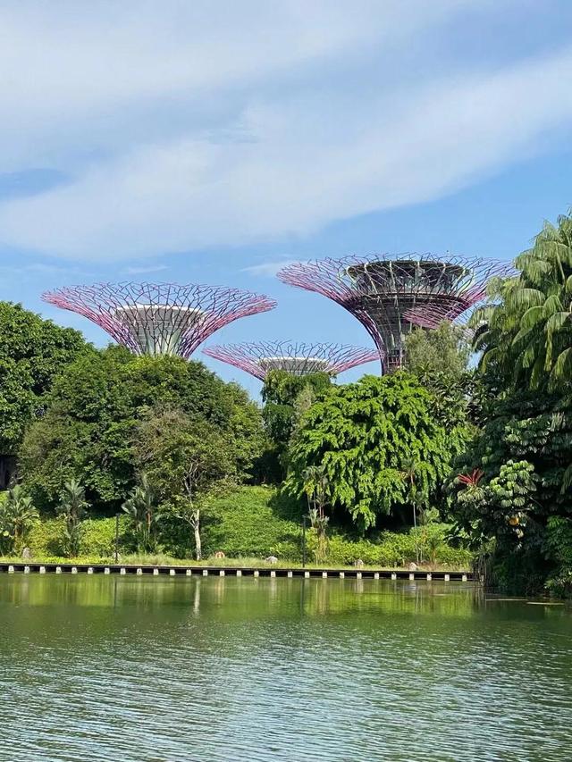 花园城市—新加坡滨海湾花园