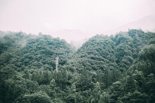 成都周边避暑胜地，夏季平均气温28度，山间云雾缭绕非常漂亮