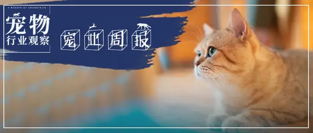 亚宠展延期淘宝延长宠物商品售后维权普瑞纳宠物上半年净利百亿元