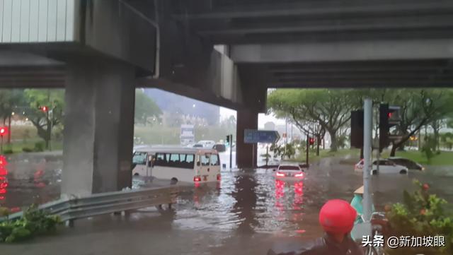 新加坡突降暴雨，全岛多处淹水！多车受困，惊动民防部队紧急救援